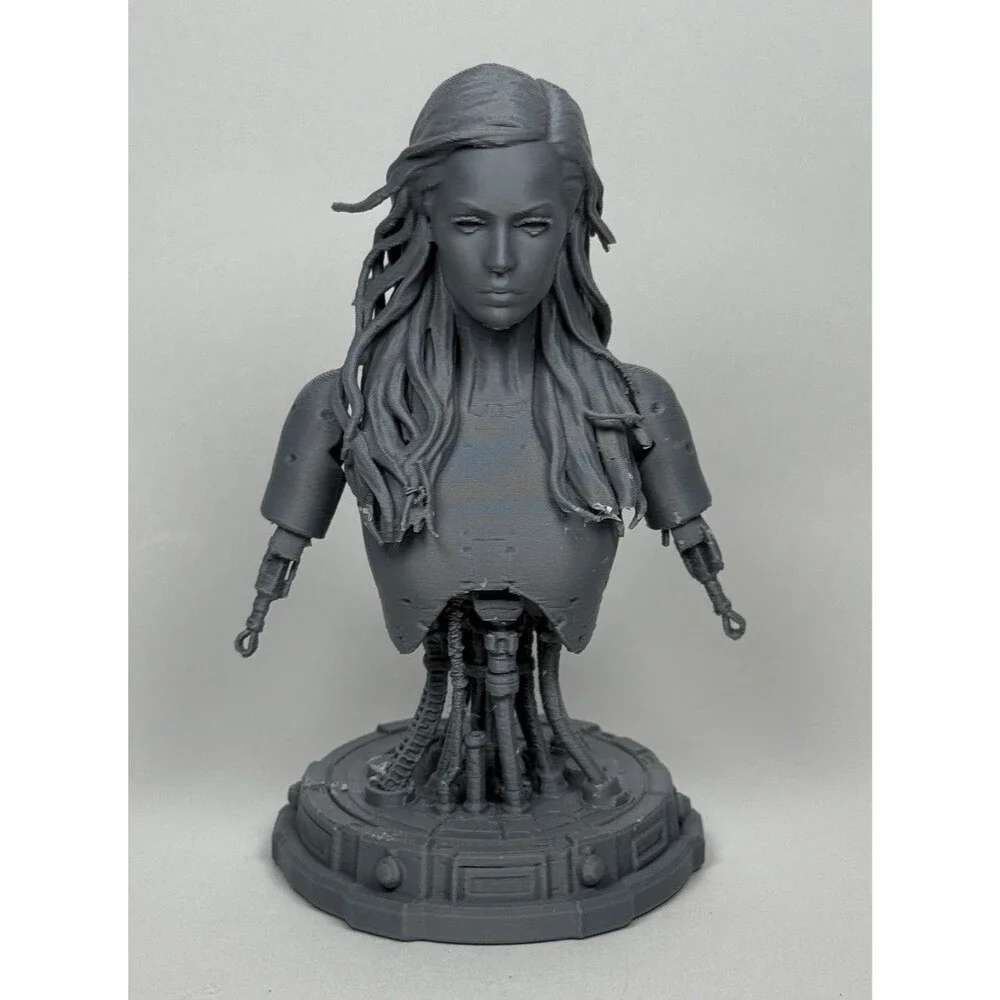Sarah Connor Chronicles Poster Version Paintable Robot Toy